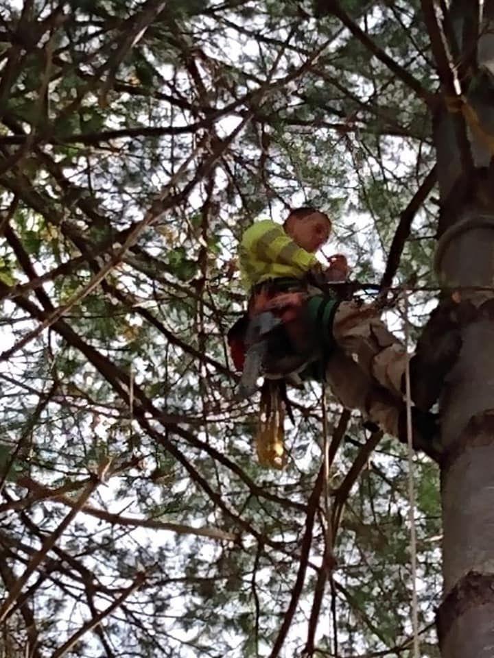  for Ground To Sky Tree Care in Asheville, North Carolina