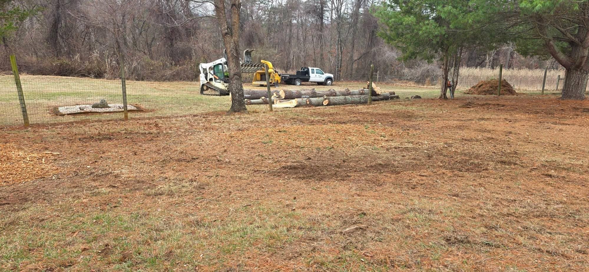  for Hamlett Tree Service LLC in Clover, VA