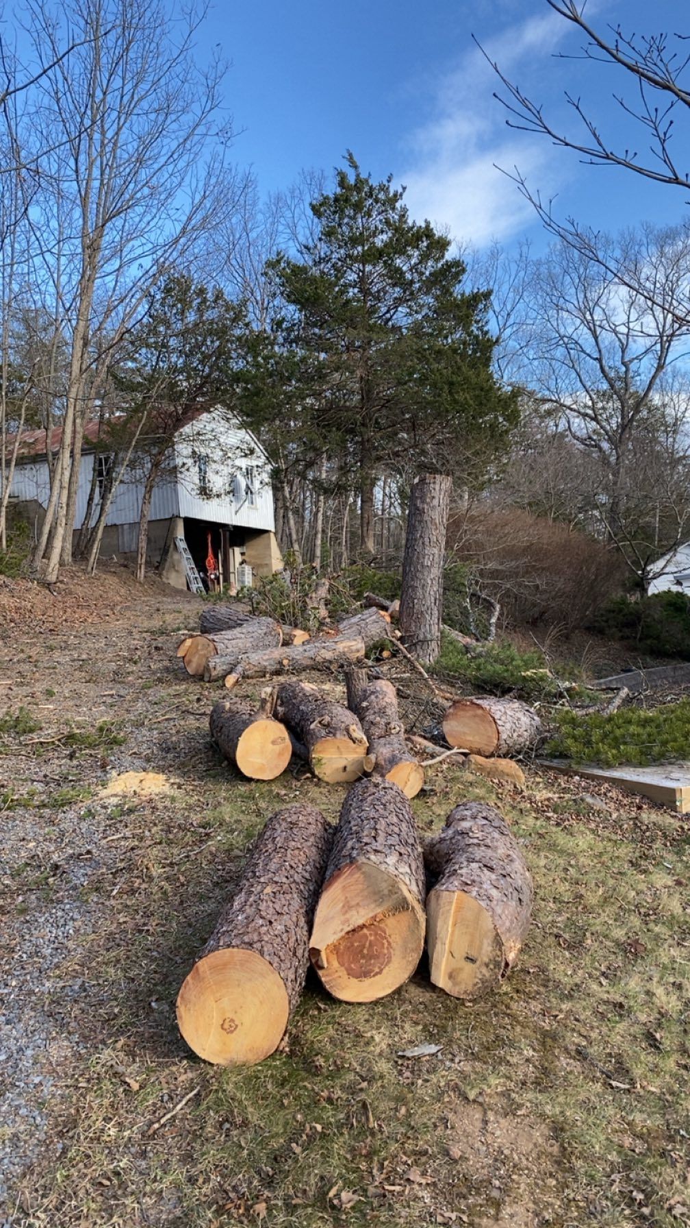 Other Services for Gray’s Tree Service Inc in Maurertown, VA