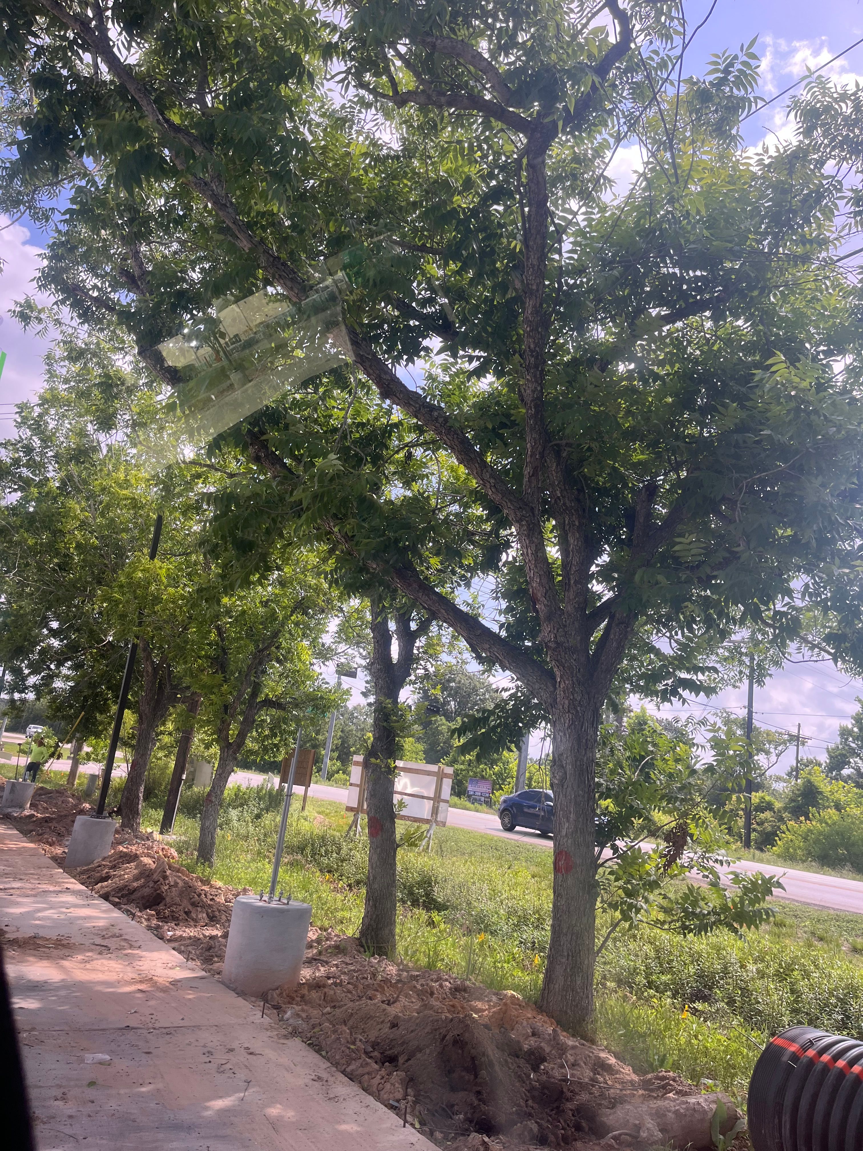  for South Coast Concrete & Demolition Services in Alvin, TX