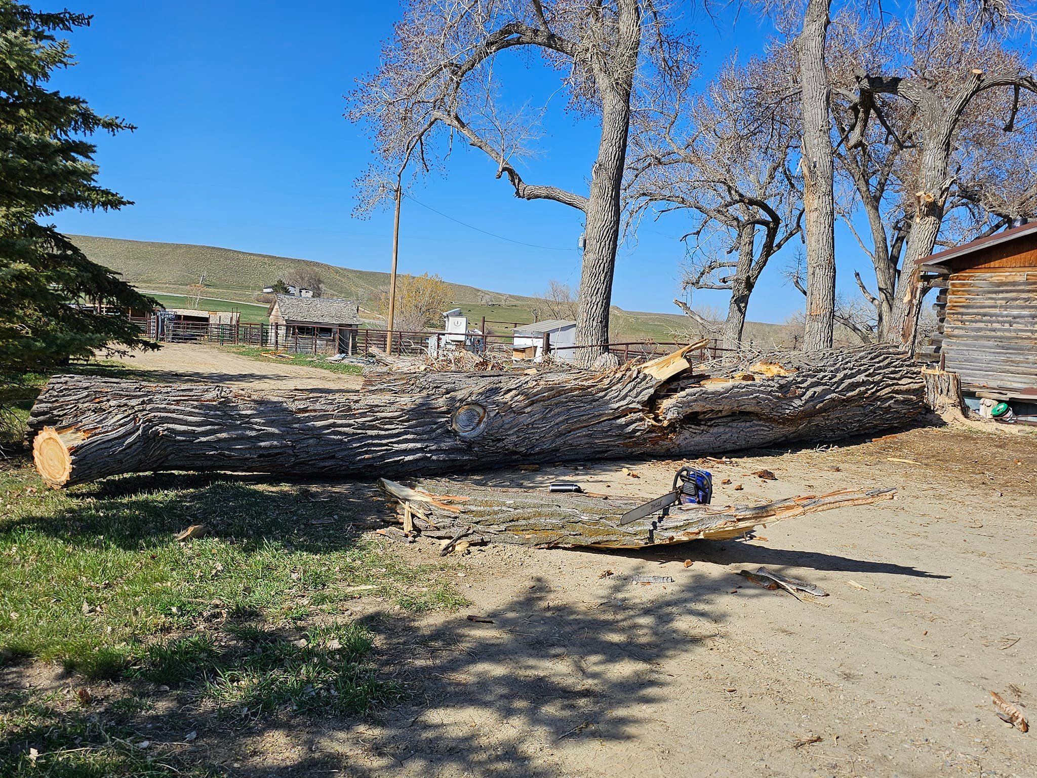  for Two Fellers Tree Service in Buffalo, WY