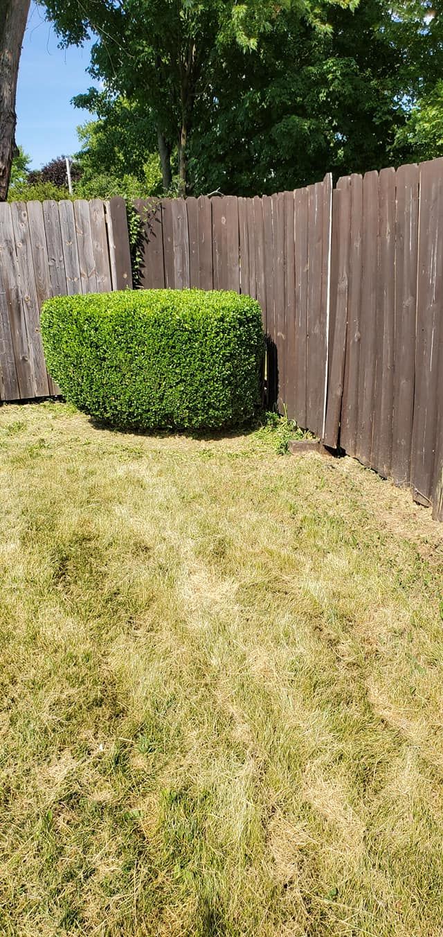  for Mr. Prestige Lawn Care Perfectionist in Columbus, OH