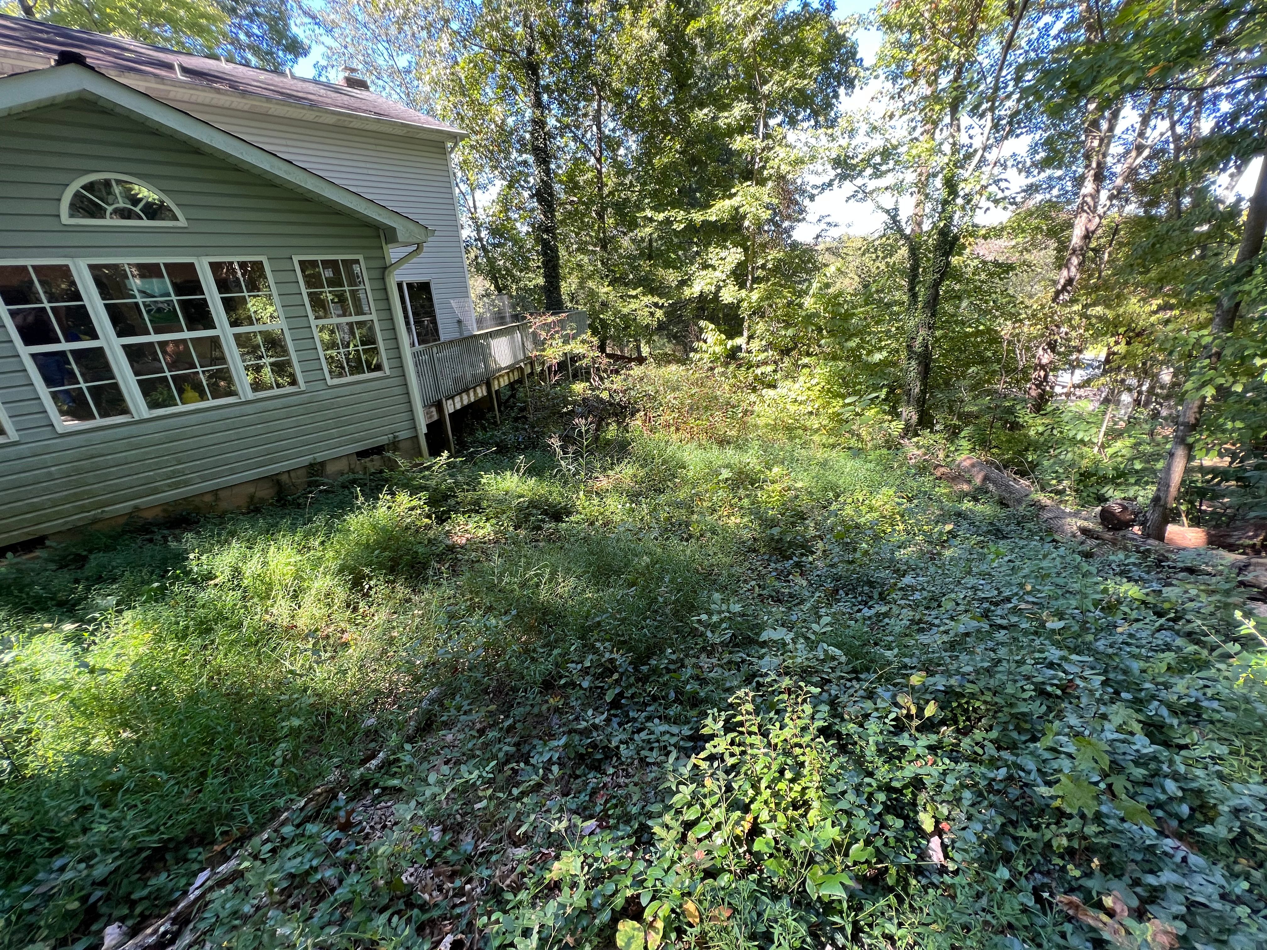 All Photos for F&CO Excavation in Clinton, TN