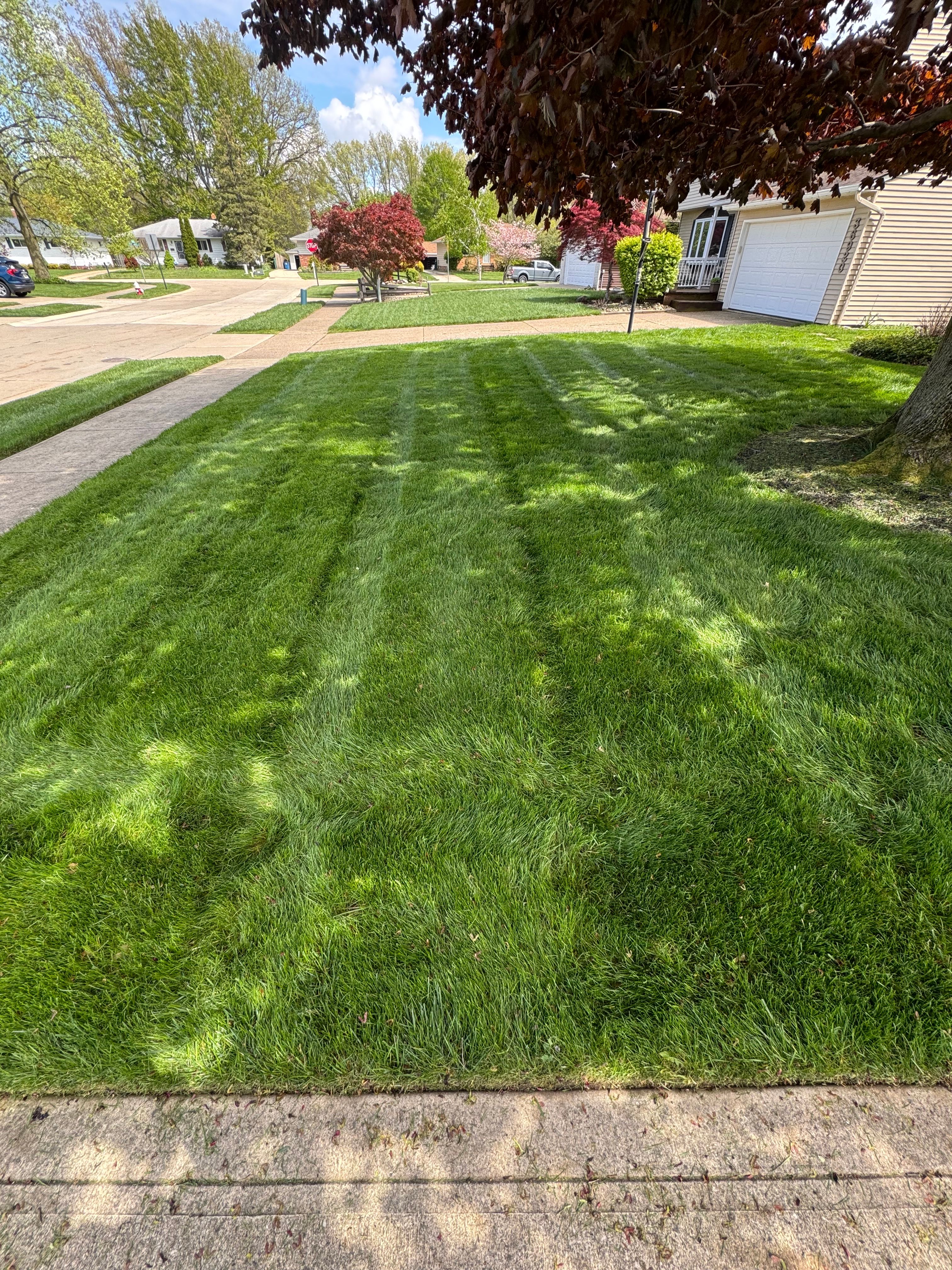  for Yard Theory in Willowick, OH