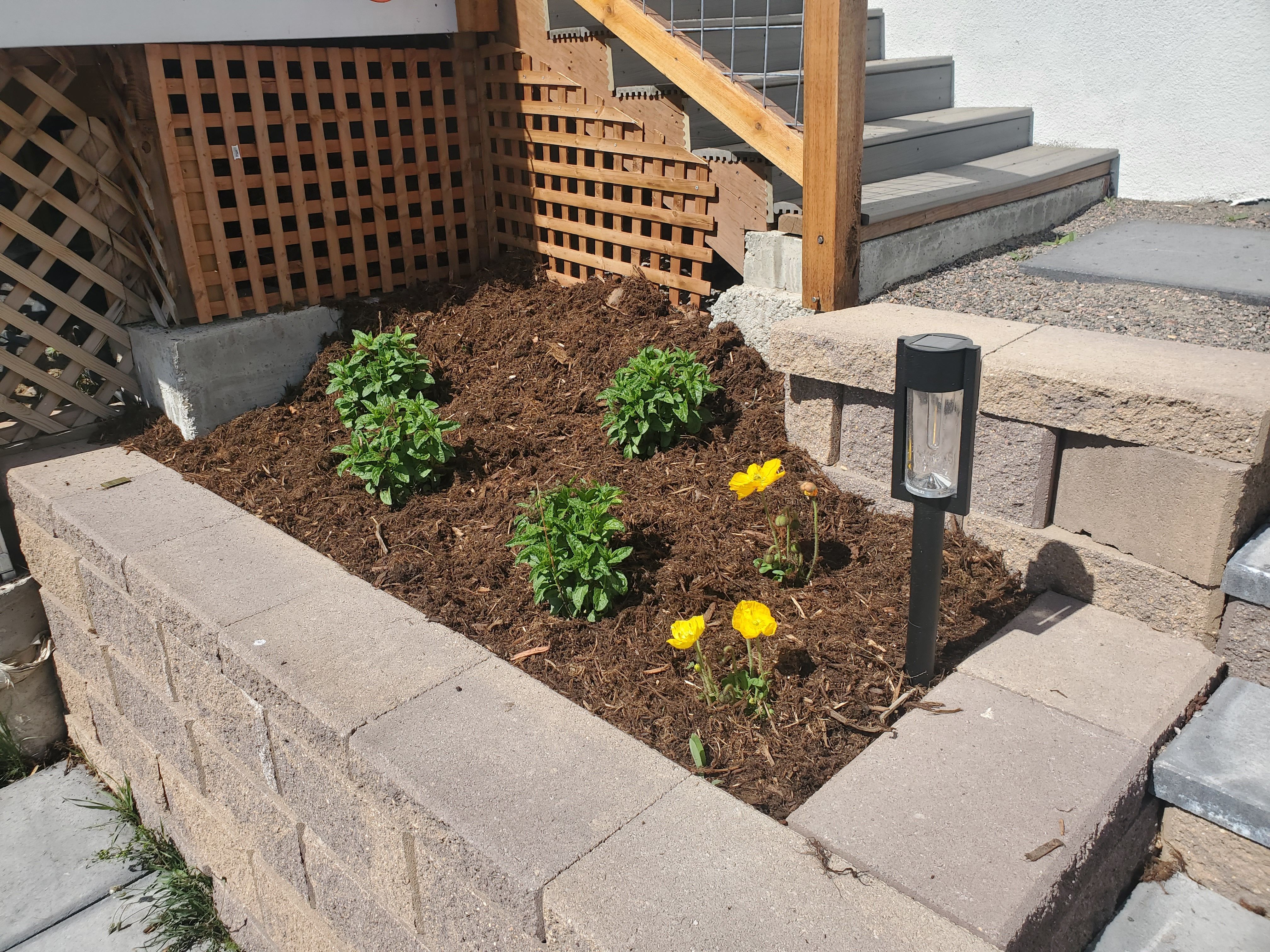  for JS Landscaping Colorado in Denver, CO