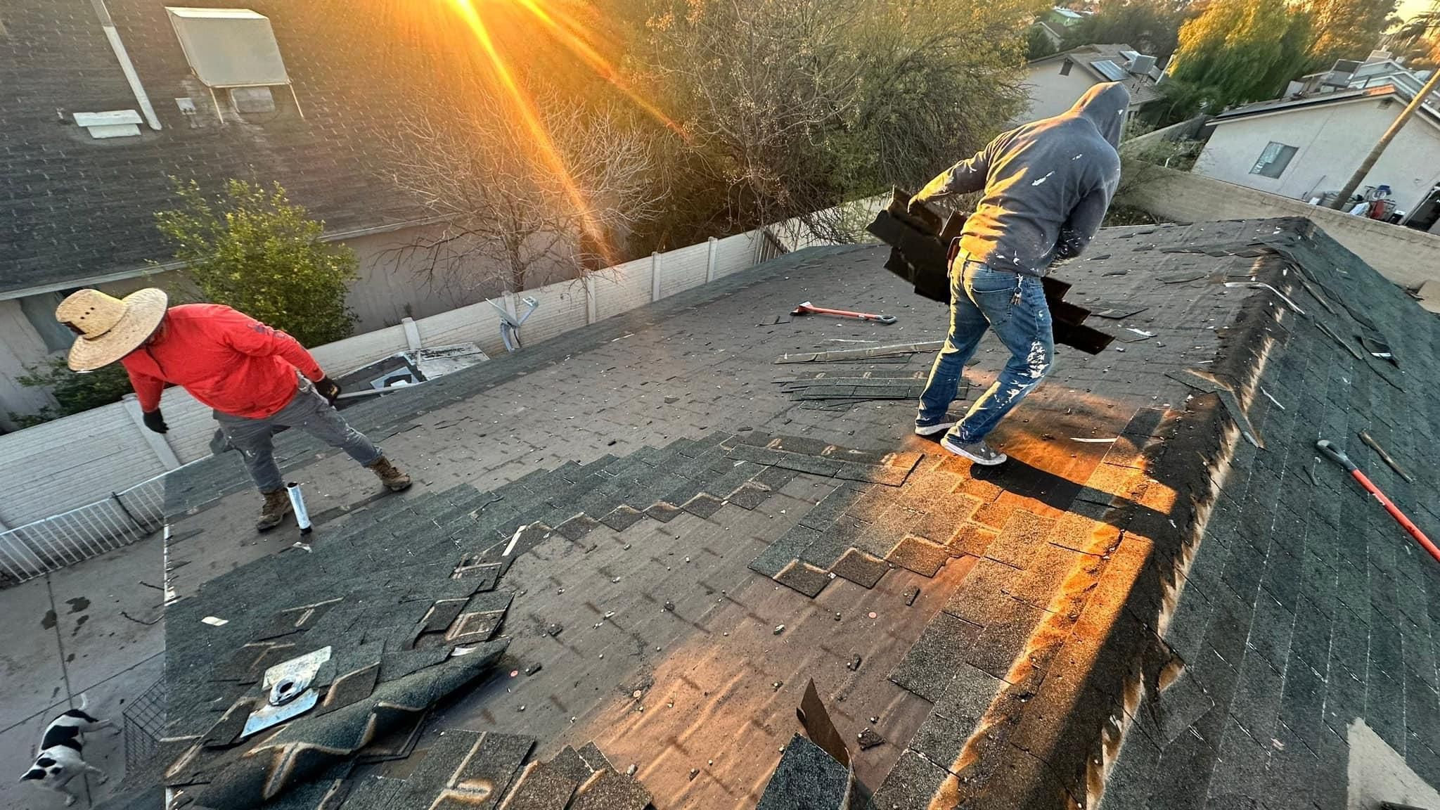  for Alpha Roofing LLC  in Tucson,  AZ