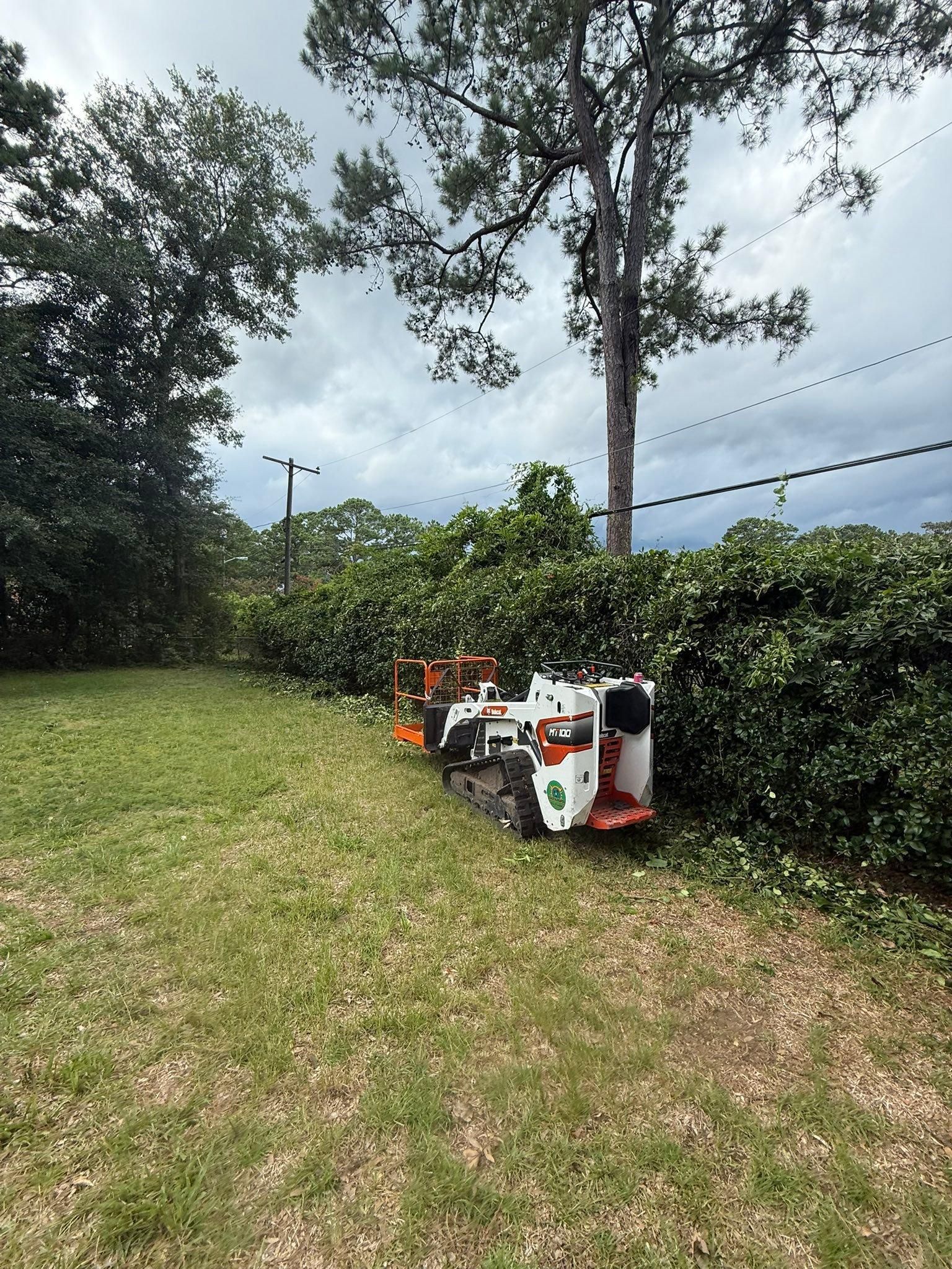  for Coastalscapes Landscaping & Turf Management  in Savannah, GA