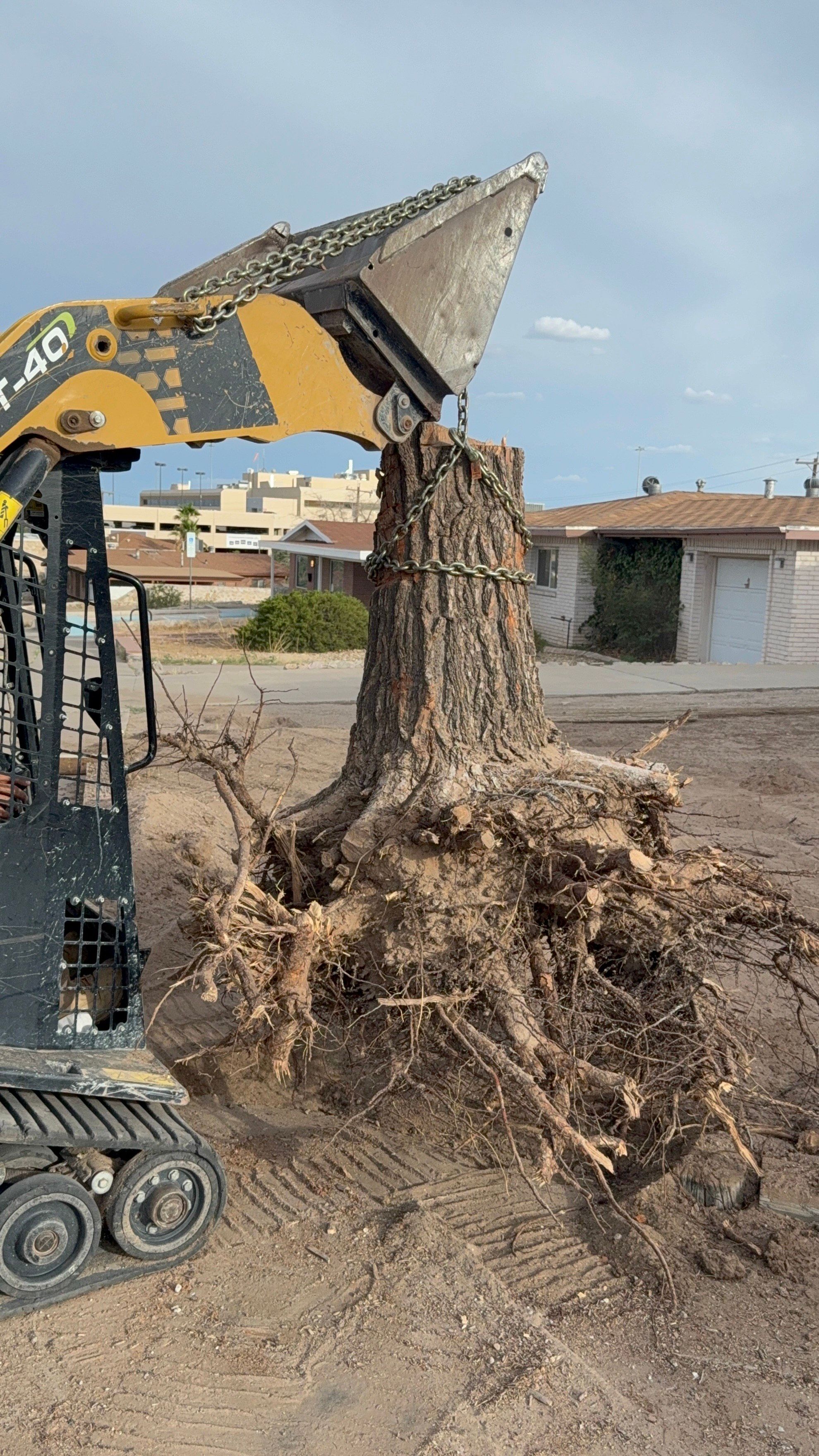  for Oasis Landscaping LLC  in El Paso, TX