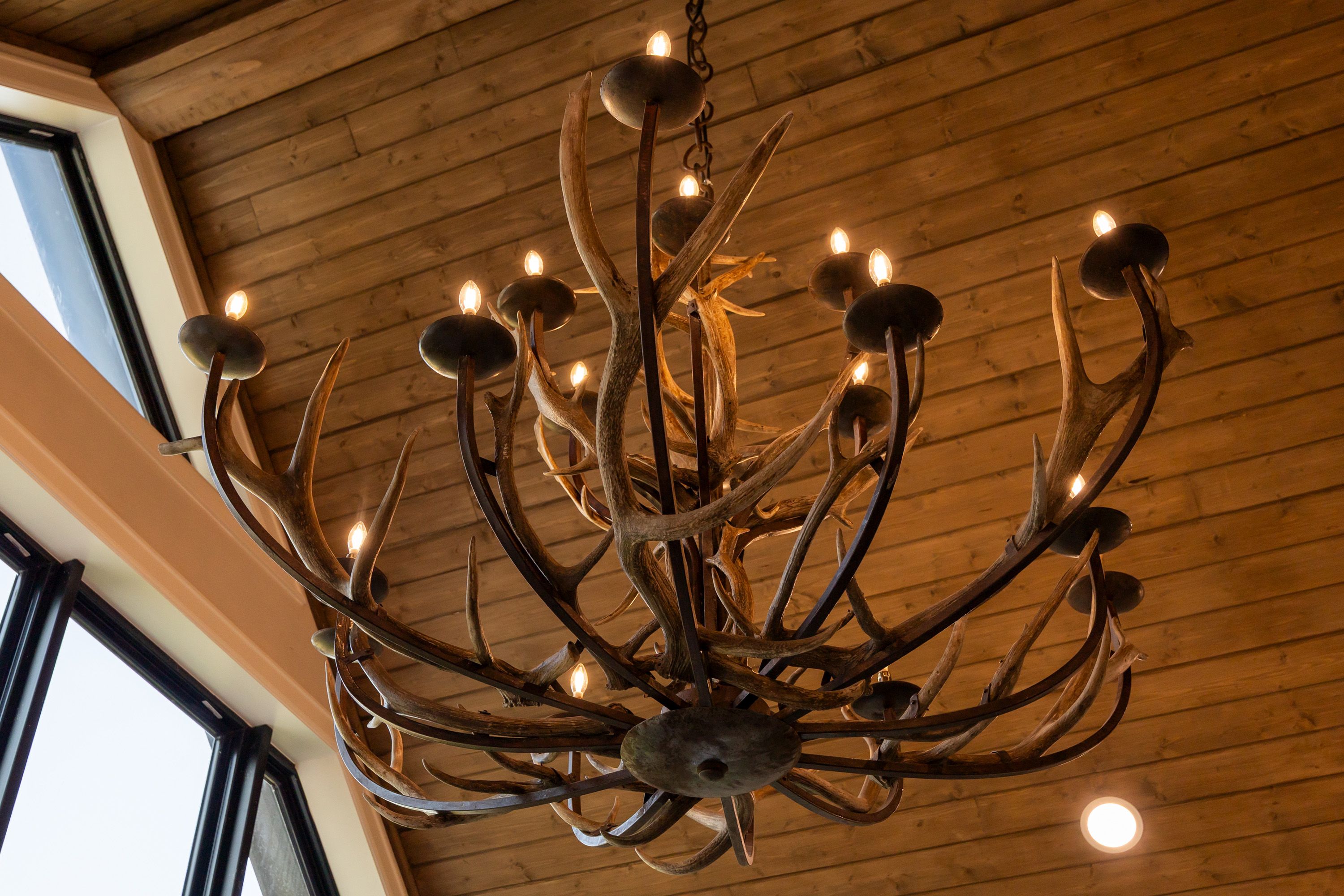  for Neely Construction & Design LLC in Chandler, TX
