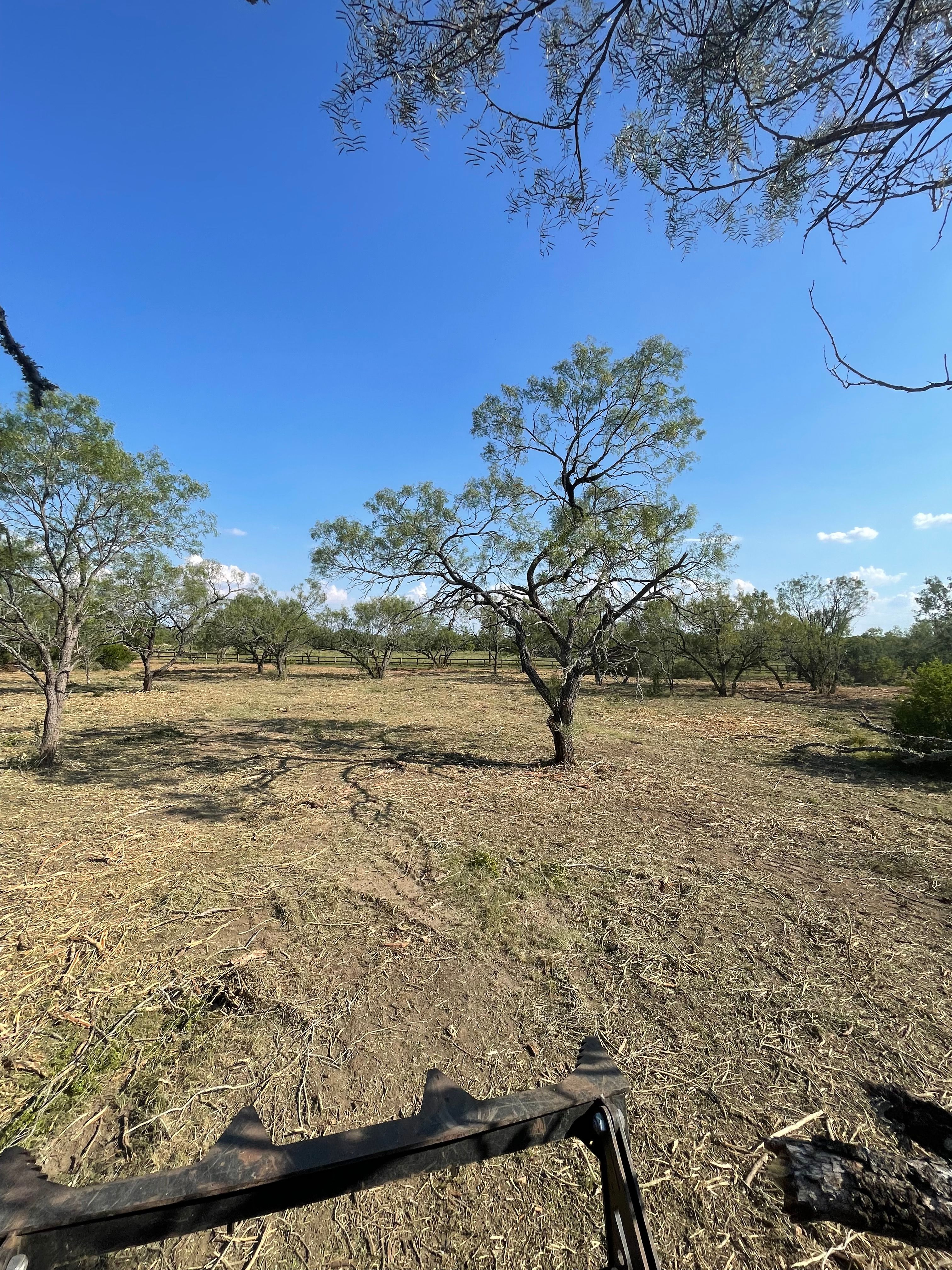  for TS Land Mangement in Bigfoot, TX