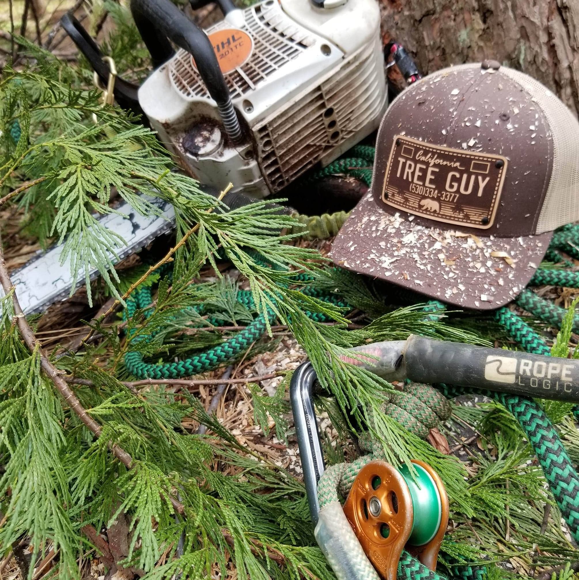  for George Staddan's Professional Tree Care in Placerville, CA