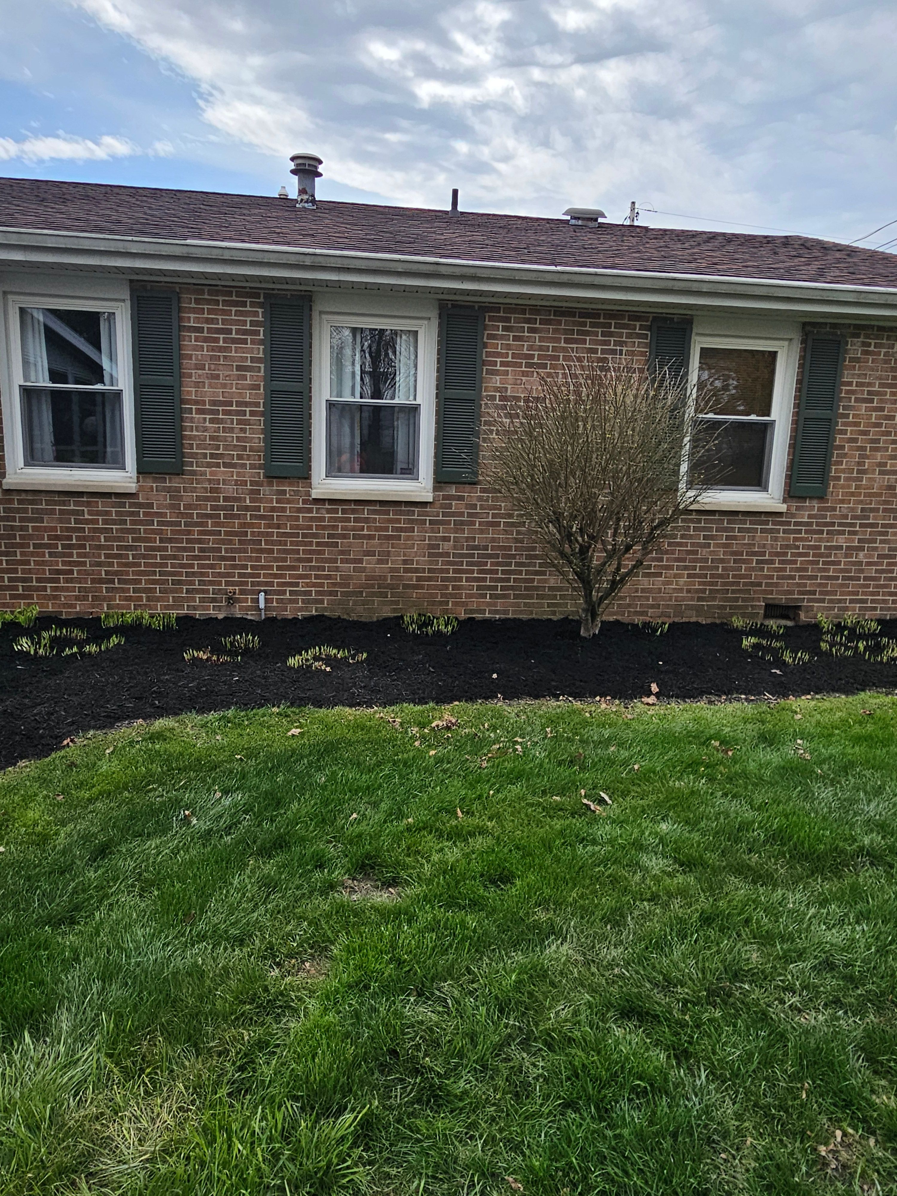  for Tel Ma Landscaping Maintenance LLC  in Urbana, OH