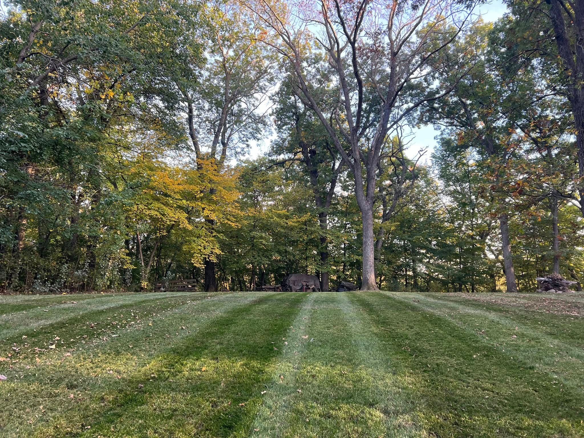  for Division One Landscaping in Elko New Market, MN