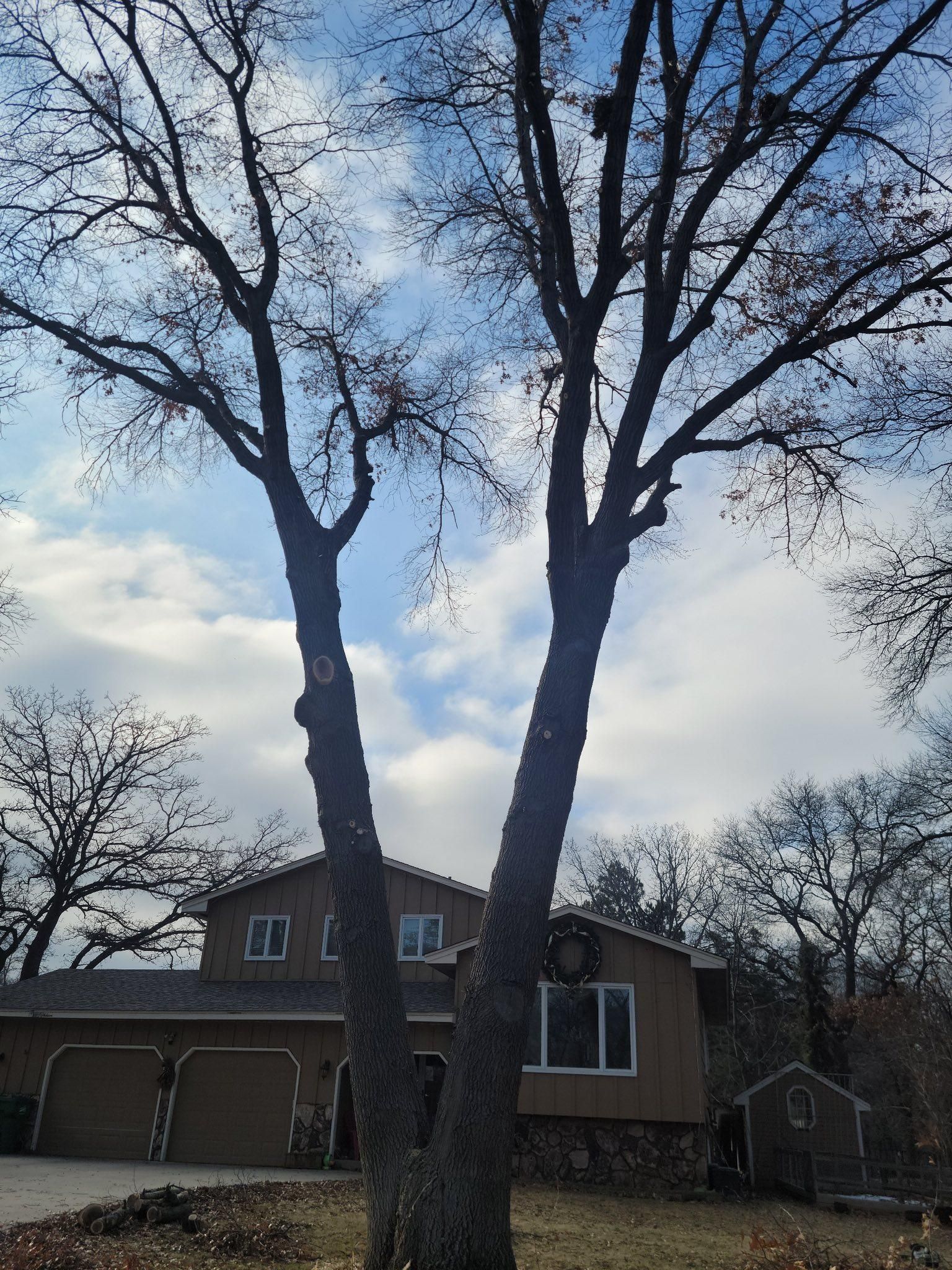 All Photos for K and Z Tree Care in Isanti County, MN