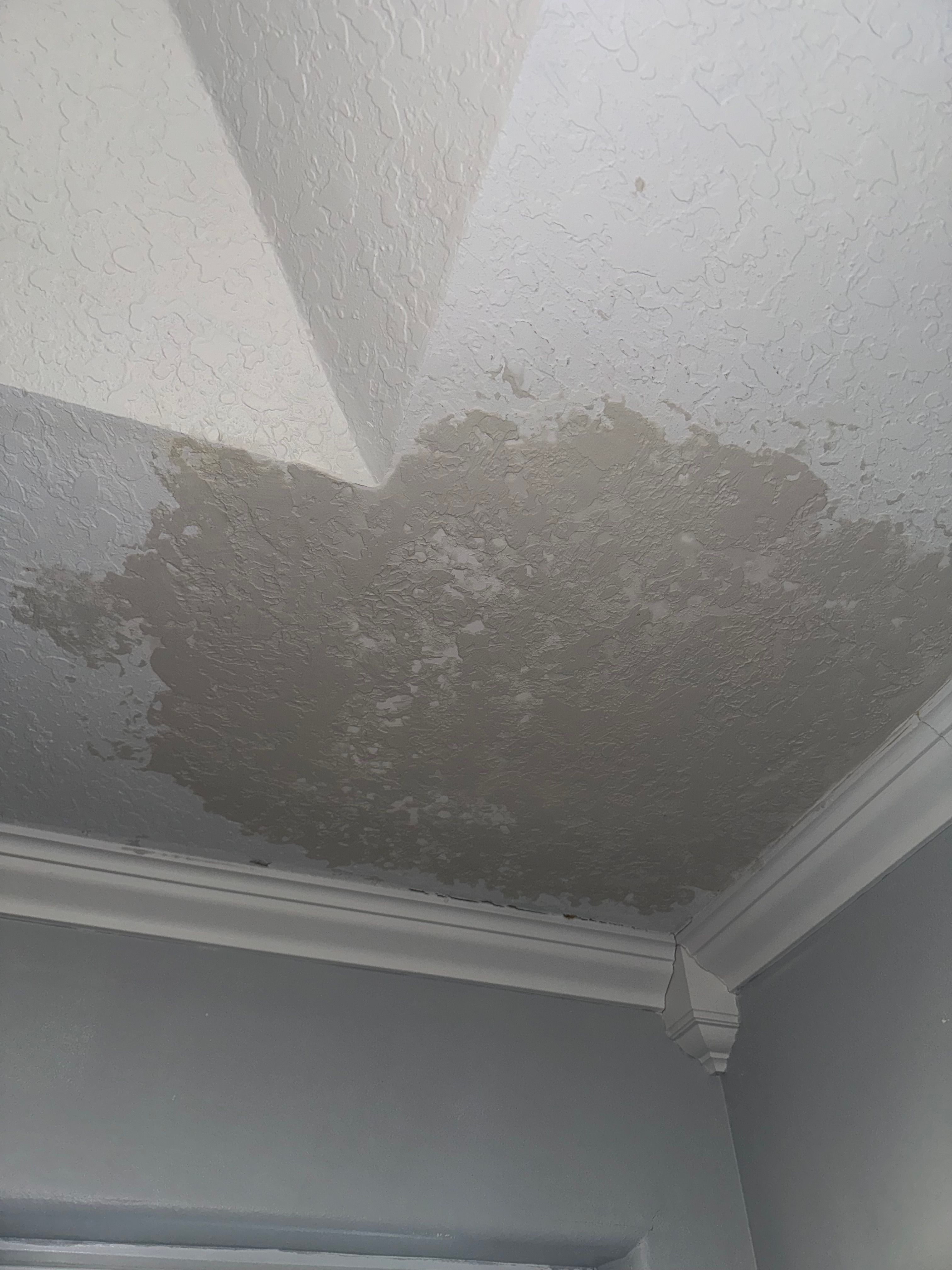  for Joel's Local Handyman Services in Clermont, FL