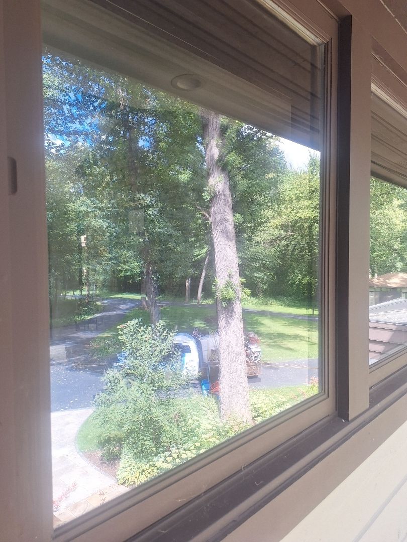 All Photos for Soapy Suds Services in St. Charles, IL