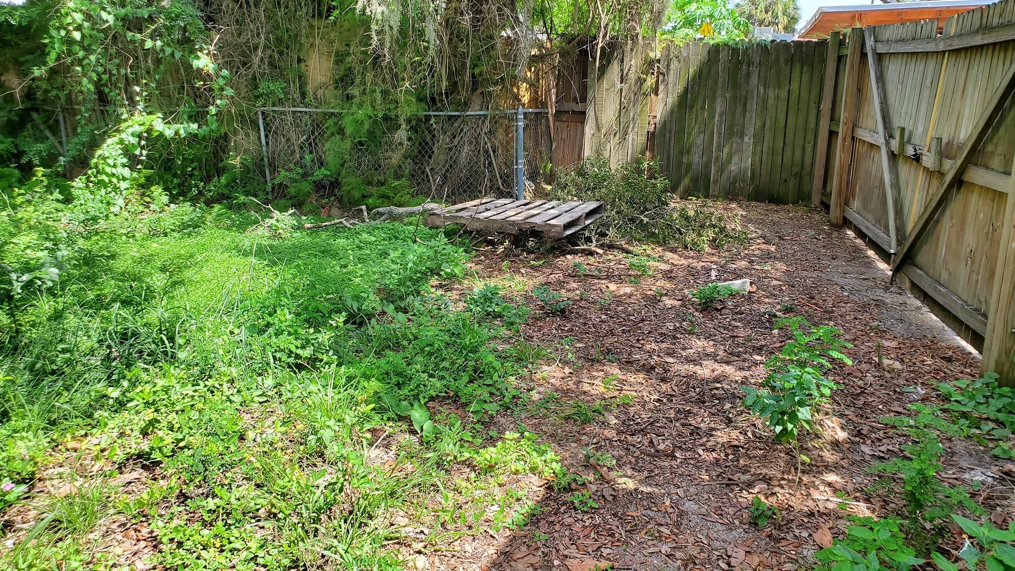  for 1 Friendly Lawn Service in Tampa, FL