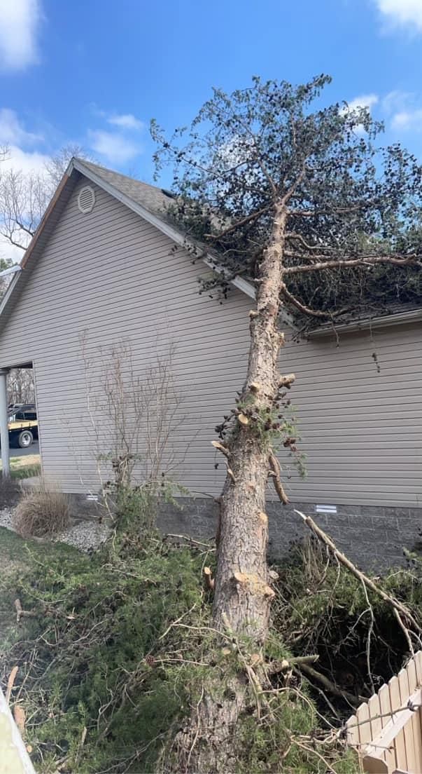  for Curtis Tree Service LLC in Hopkins County, KY