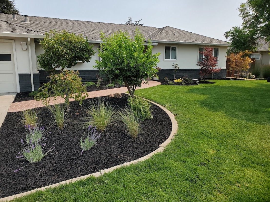 Sod & Irrigation for Martin Stanko Landscape Construction in Livermore, CA
