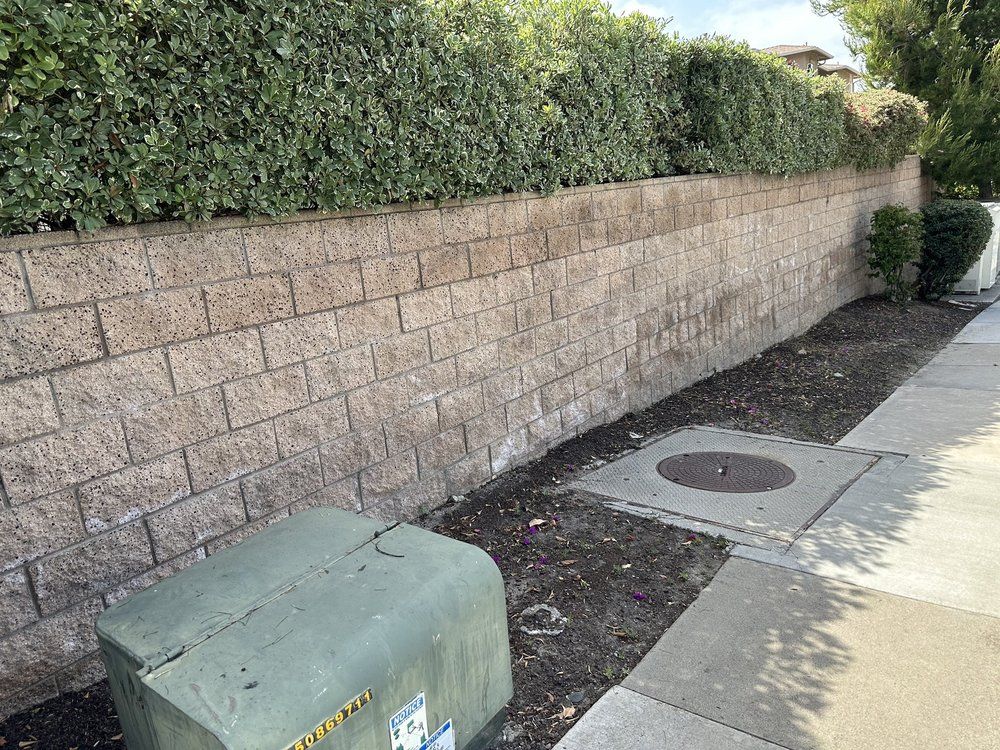  for San Diego's Top Rated Provider For All-In-One Home Services in Carlsbad, CA