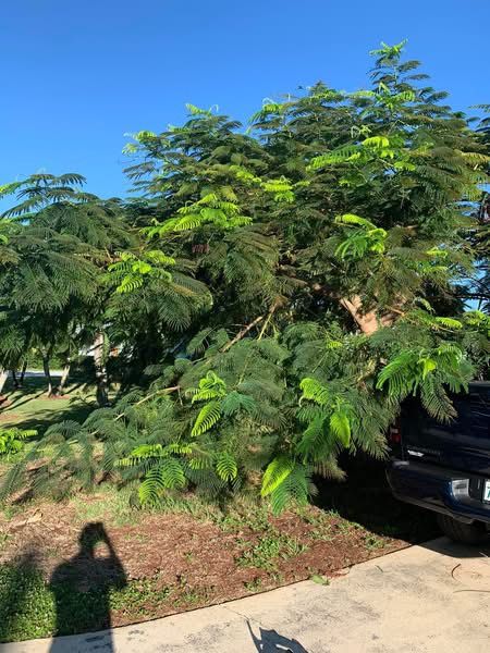  for Space Coast Property Maintenance and Management LLC in Melbourne, FL