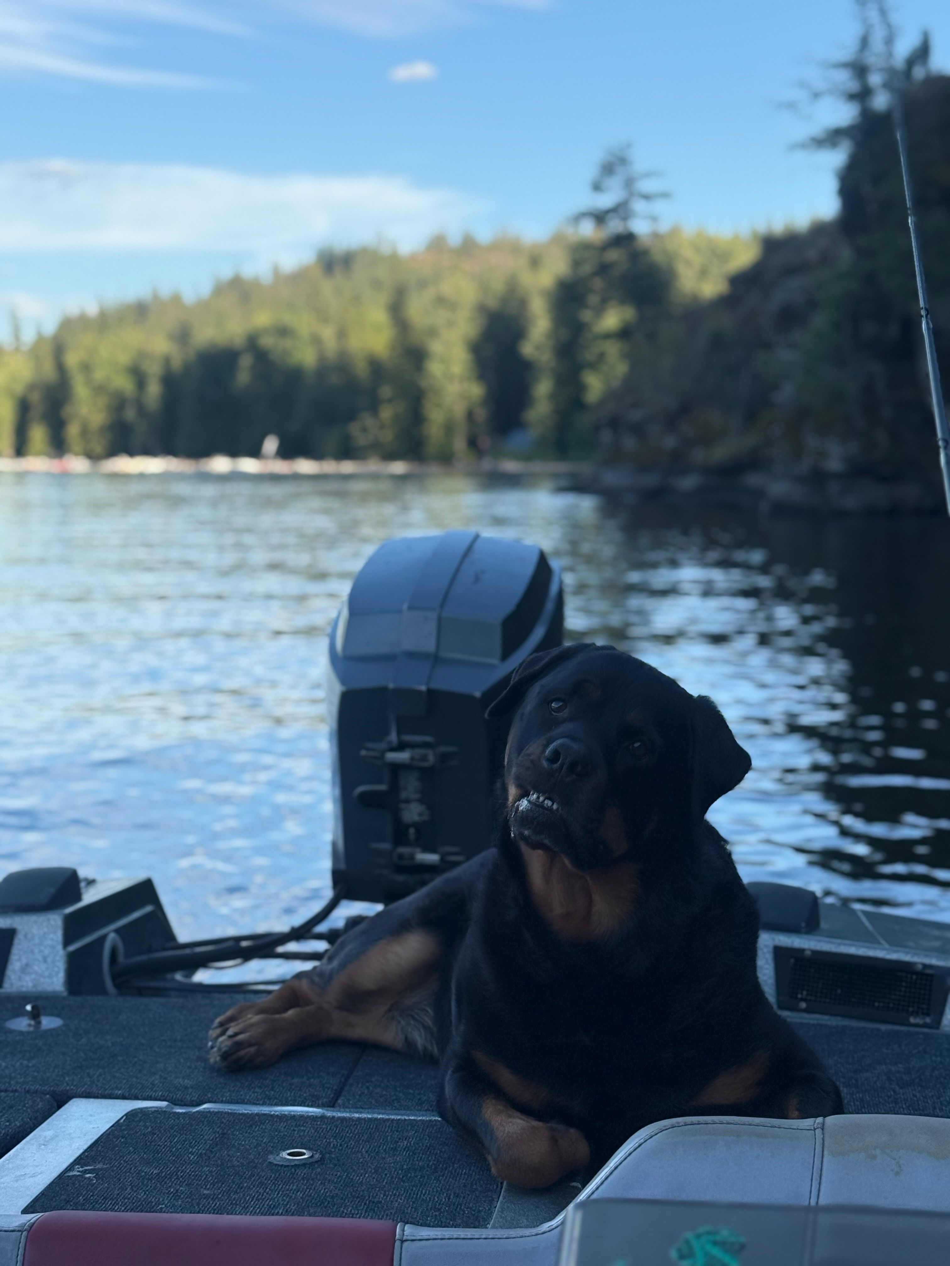  for Golden Rule Marine Solutions in Coeur d'Alene, ID