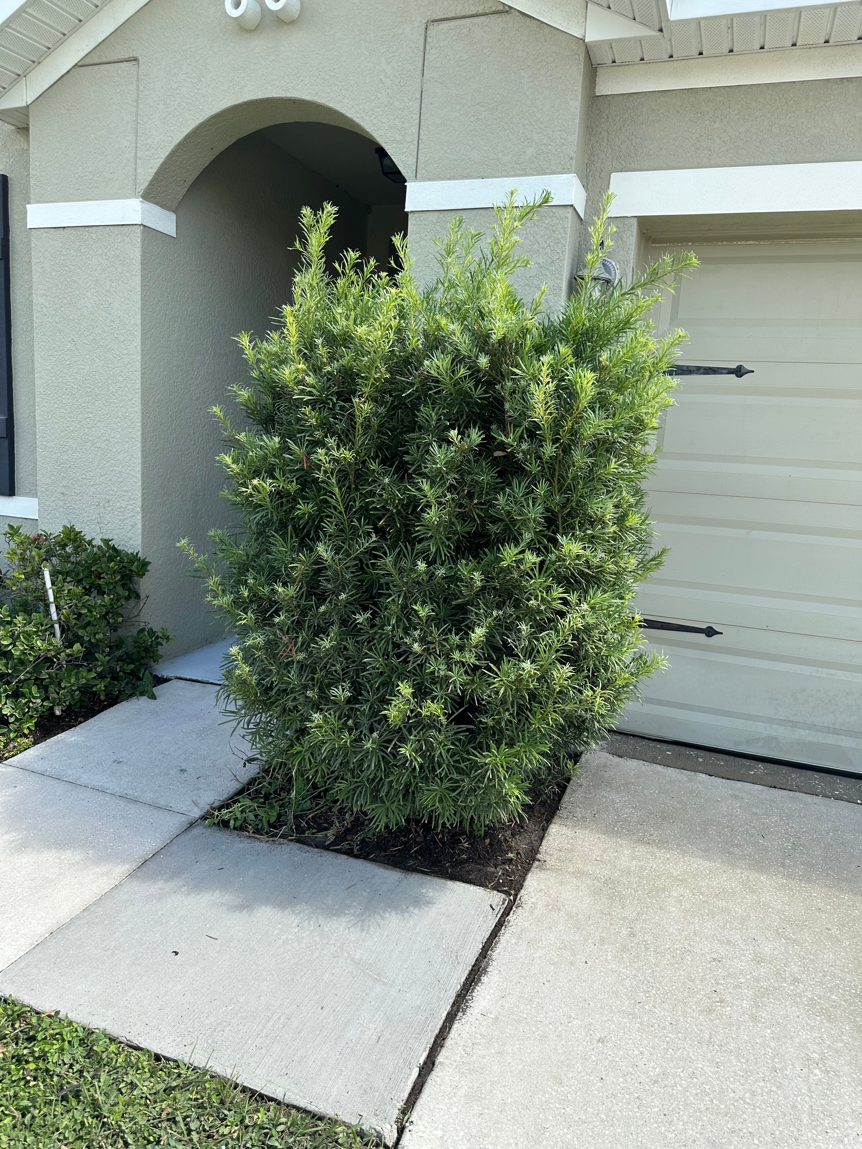  for The Yardman in Tampa, FL