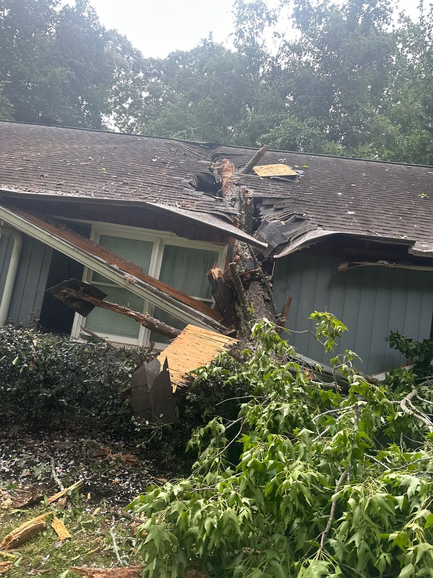  for Bulldawg Disaster Response in Atlanta, GA
