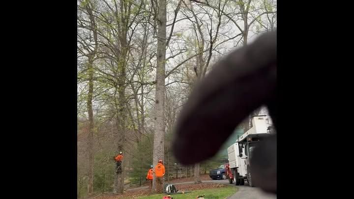 All Photos for Complete Care in Cumberland Gap, TN