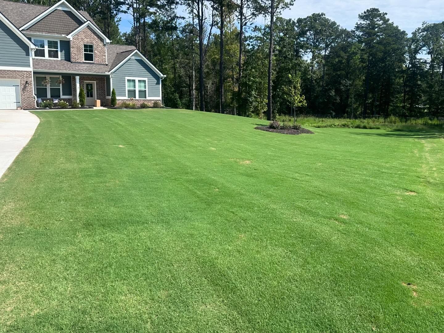  for Hedgecraft Landscaping LLC in Senoia, GA