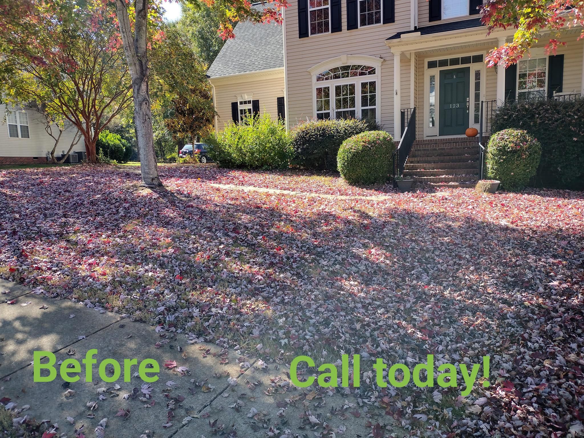  for Palmetto Cuts Lawn Care LLC in Simpsonville, SC