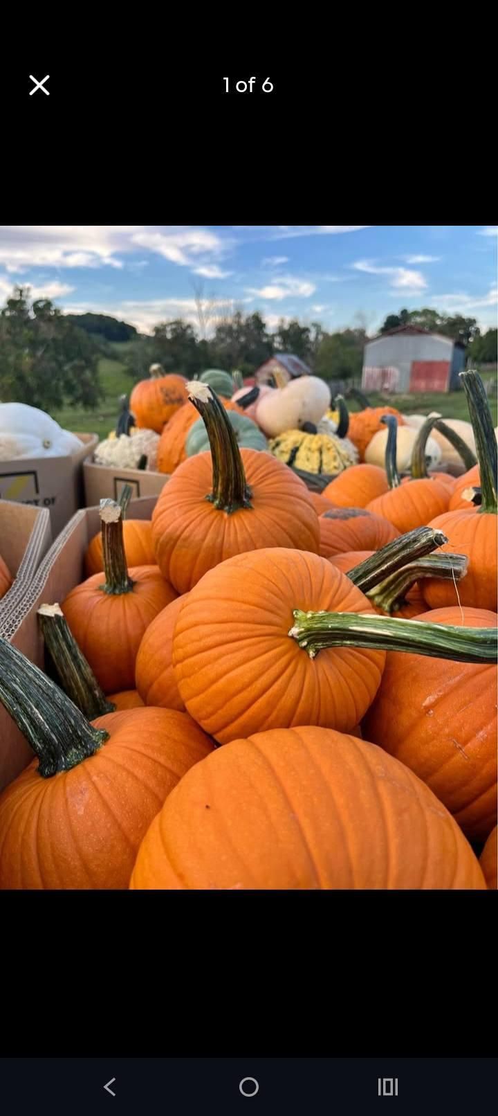  for Rutledge Contracting LLC in Hazel Green, AL