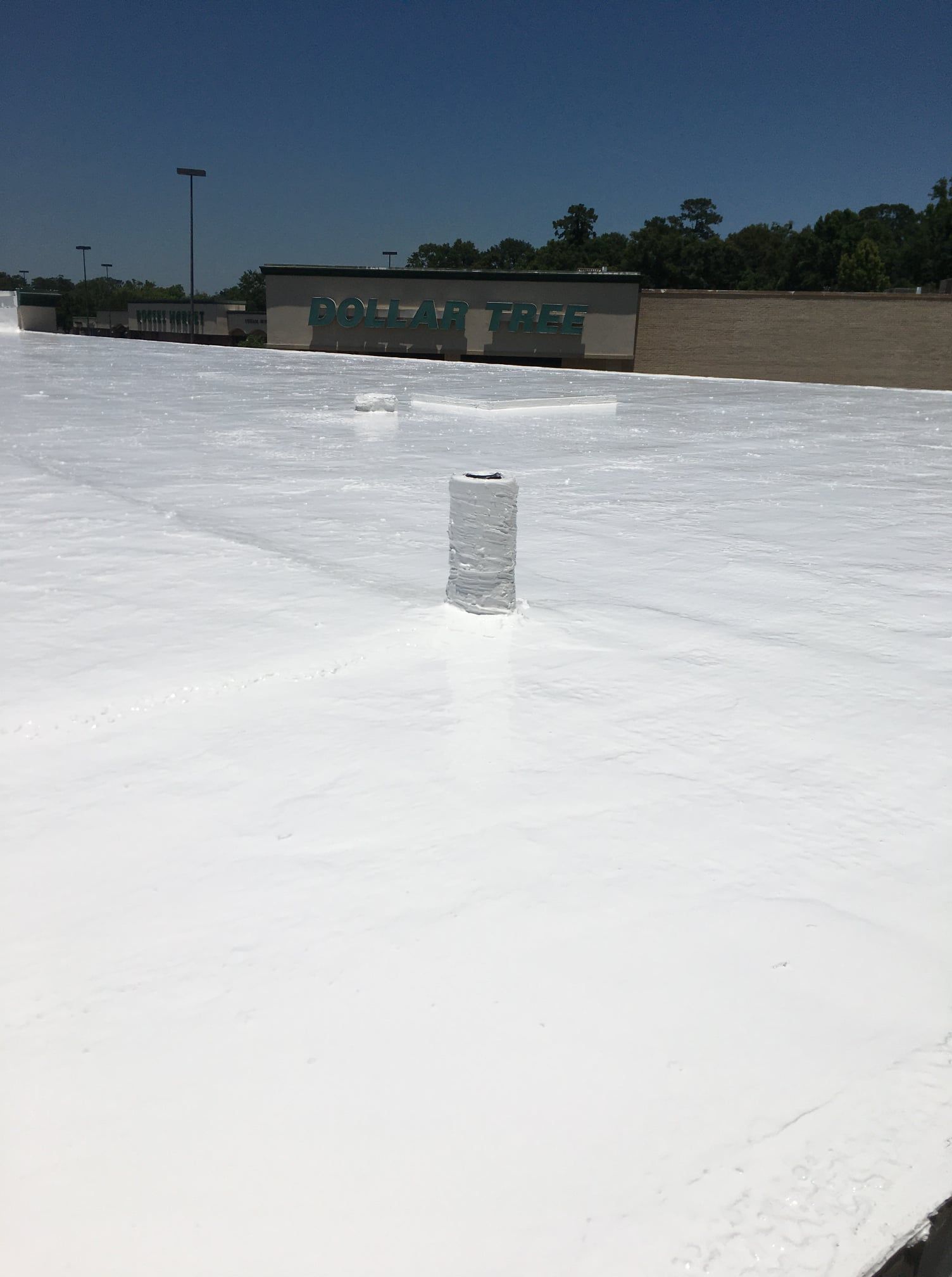  for Waterproofing Solutions in Mandeville, LA