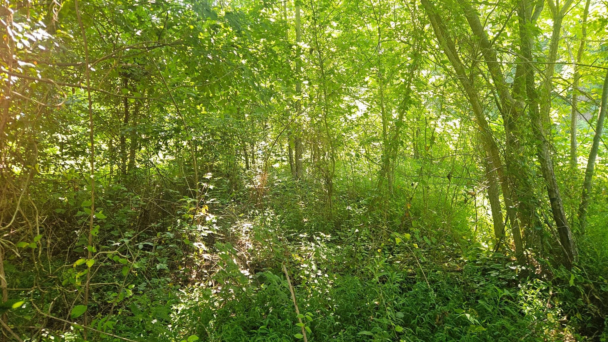 All Photos for B&B Land Management in Jamestown, TN