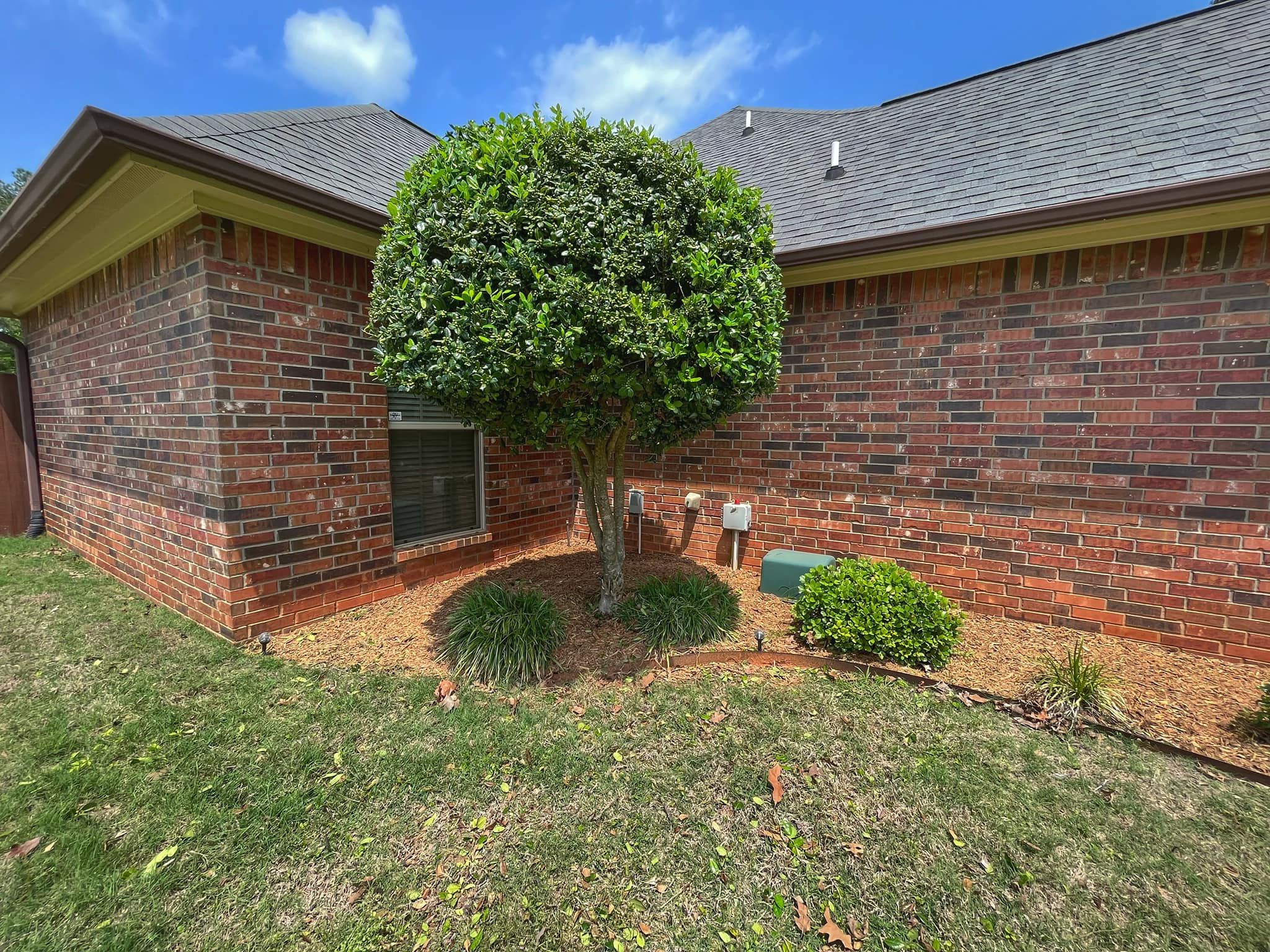  for Lawn Rescue in Texarkana, TX