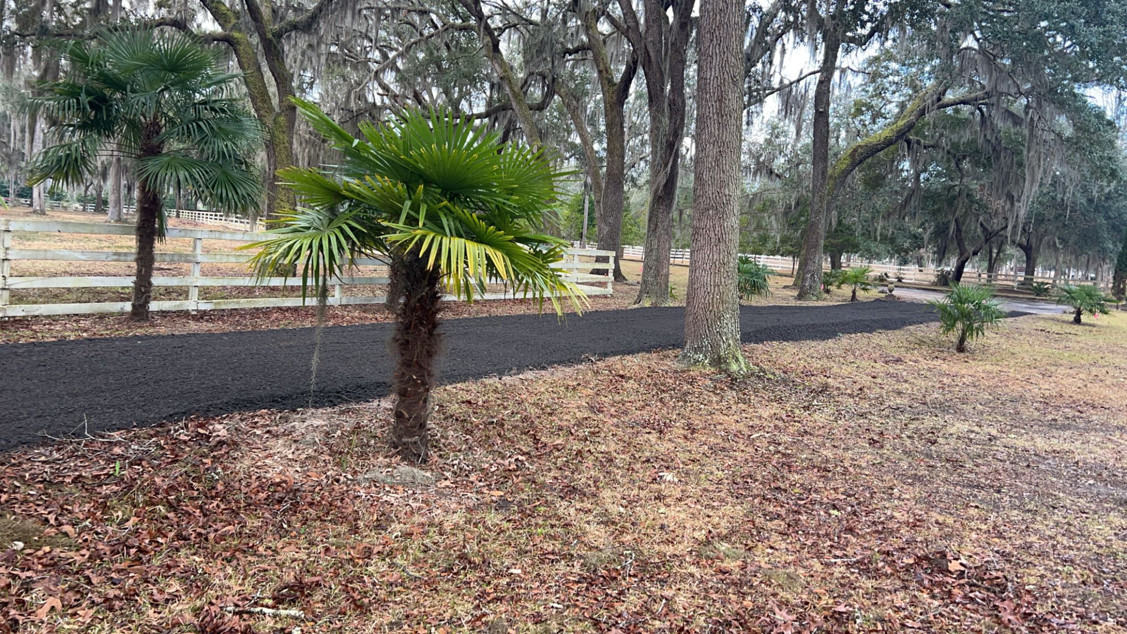  for Brandon Woodard’s Lawncare in Ludowici, GA