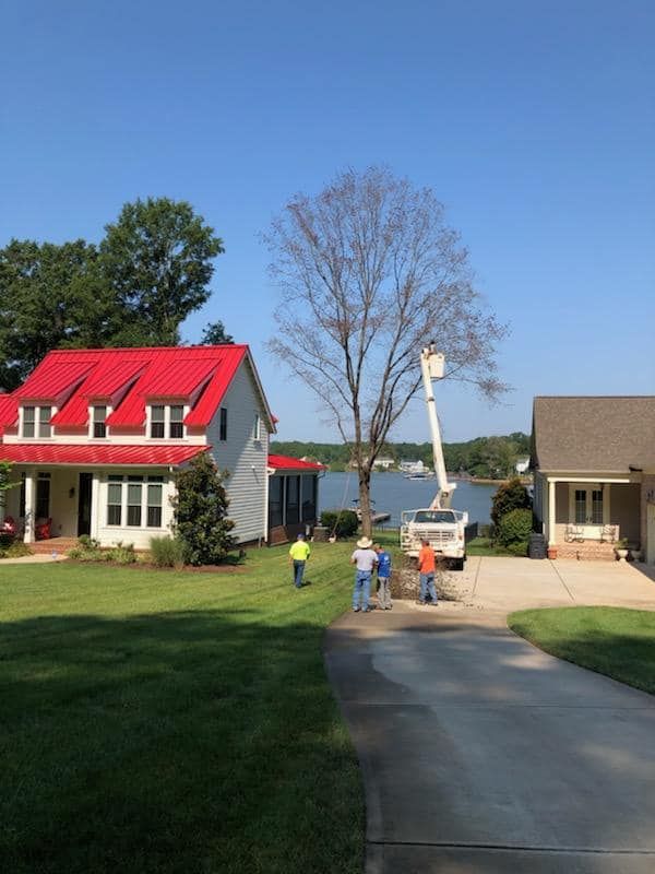  for North Meck Tree & Grounds Specialist in Huntersville, NC