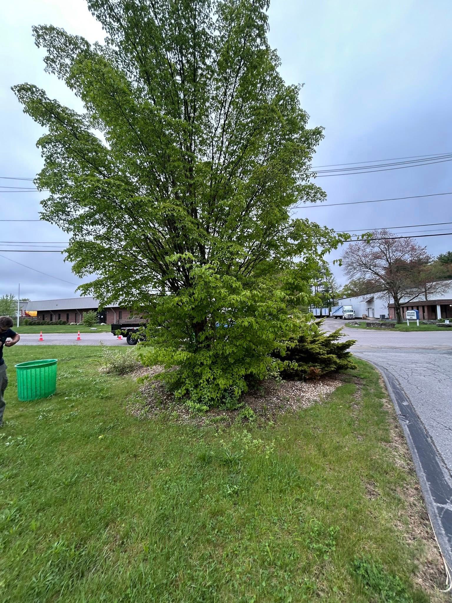  for Lucas Property Maintenance LLC in New Bedford, MA