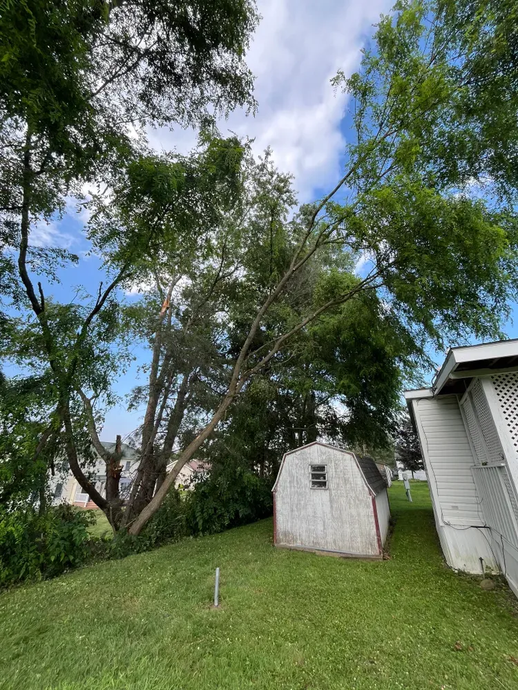 All Photos for Licensed to Cut Tree Service in Athens, PA