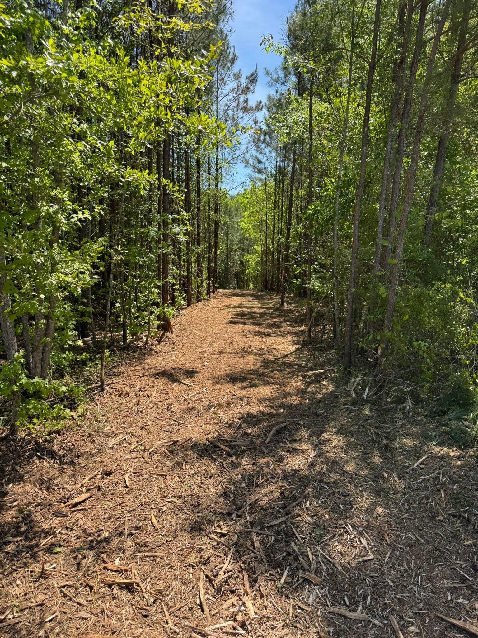  for KLNAX Enterprises in Newton County, GA
