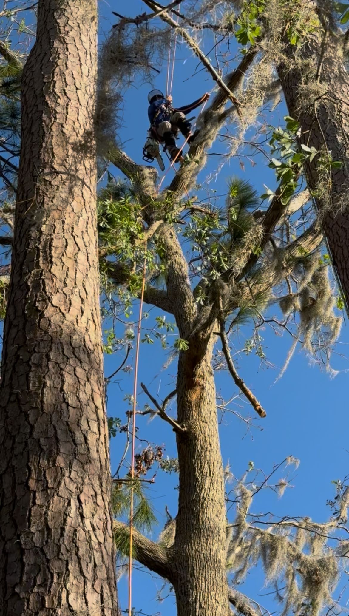  for Elevate Tree Care in Gillette, WY