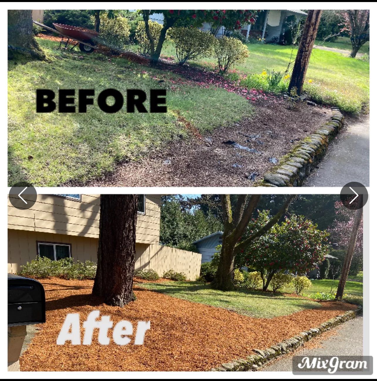 Tree Removal for T&S Tree Care LLC in Portland, OR