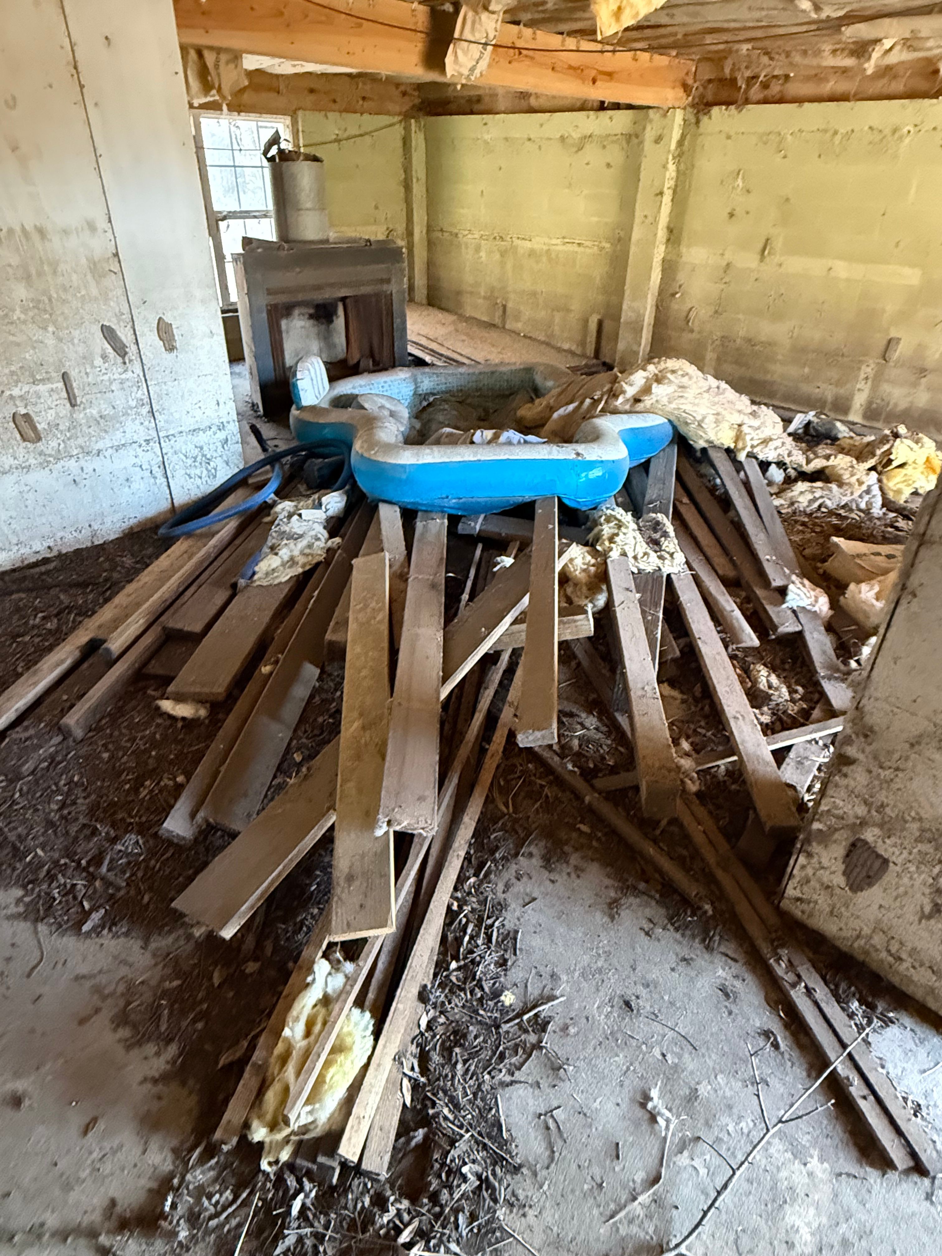  for Warners Tree Solutions in Live Oak, FL