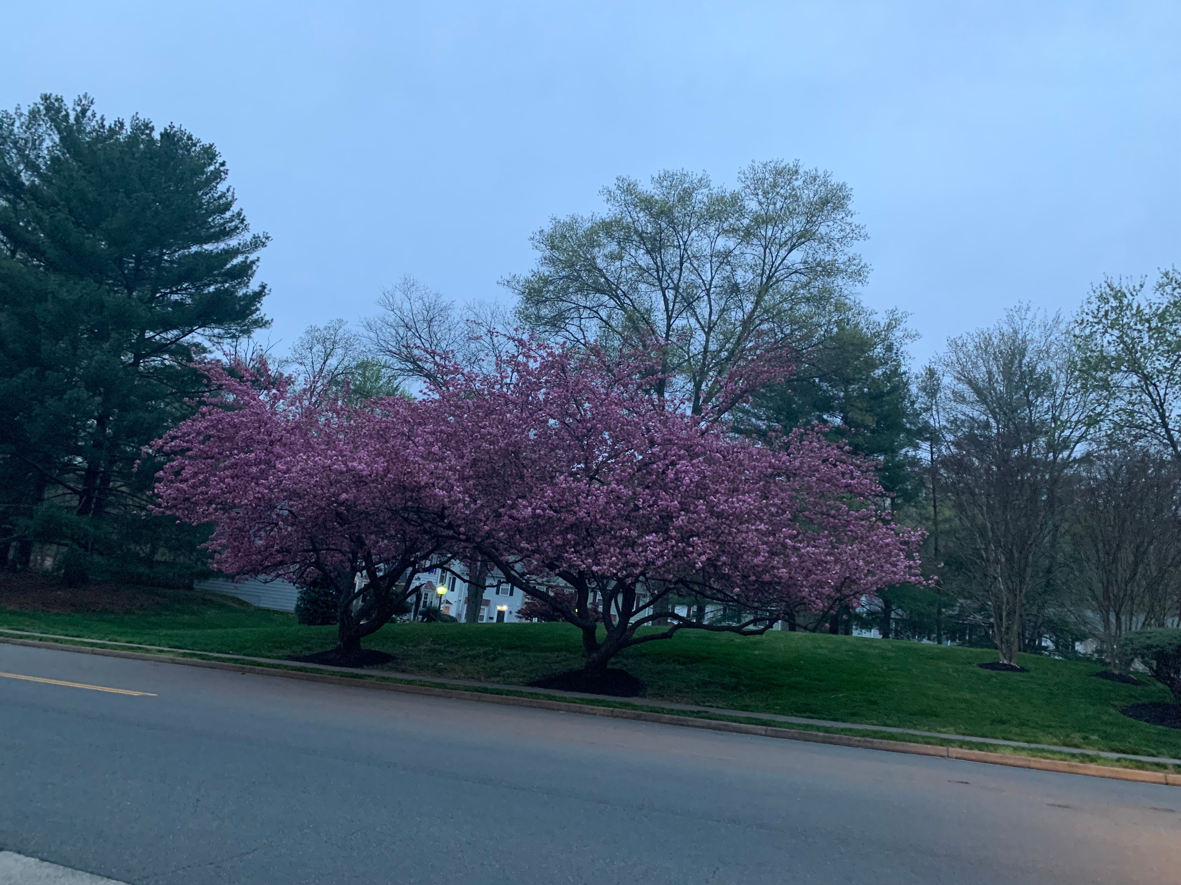  for R Merkli Inc. in Mount Vernon , VA