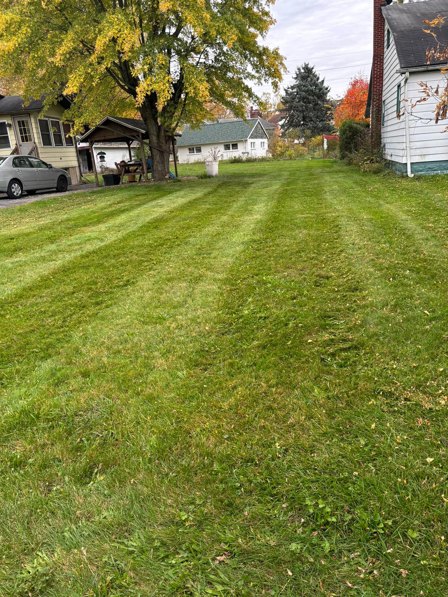  for Bryant Property Solutions in Altoona, PA