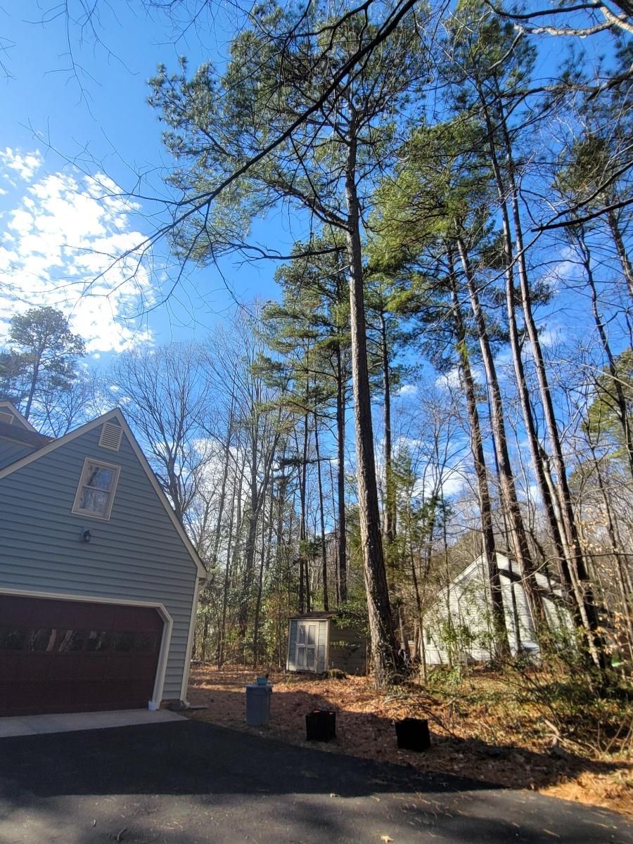  for Integrity Tree and Landscaping in Lynchburg, VA