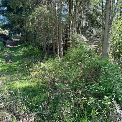  for Wilderness Stump Grinding in Orting, WA