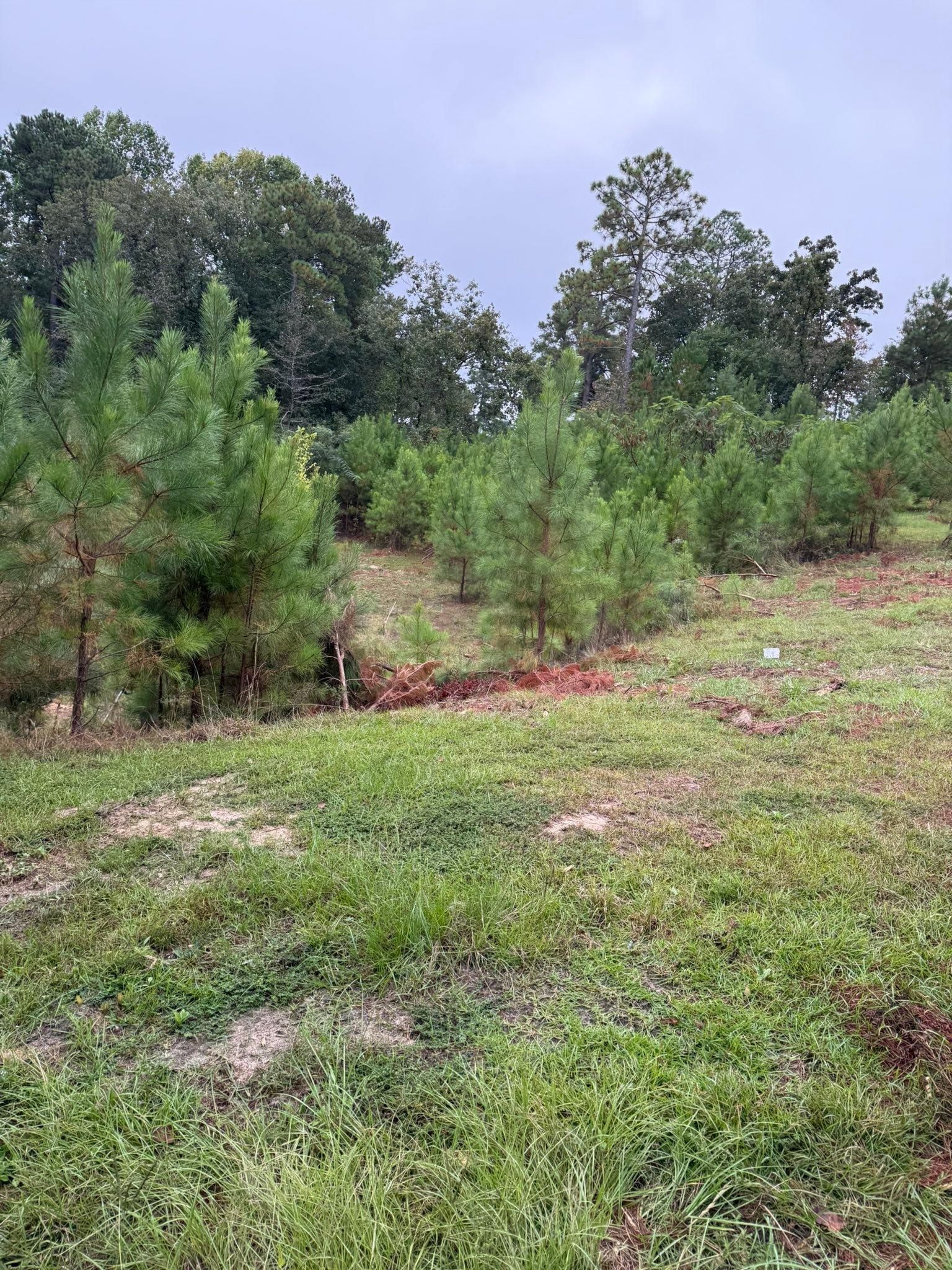  for SodGods Lawncare and Landscaping in Fayetteville , NC