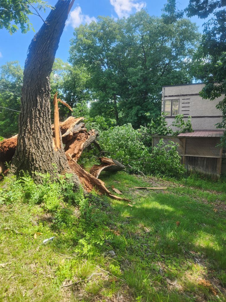  for Lawn Ranger Yard And Tree Service LLC in Ottumwa, IA