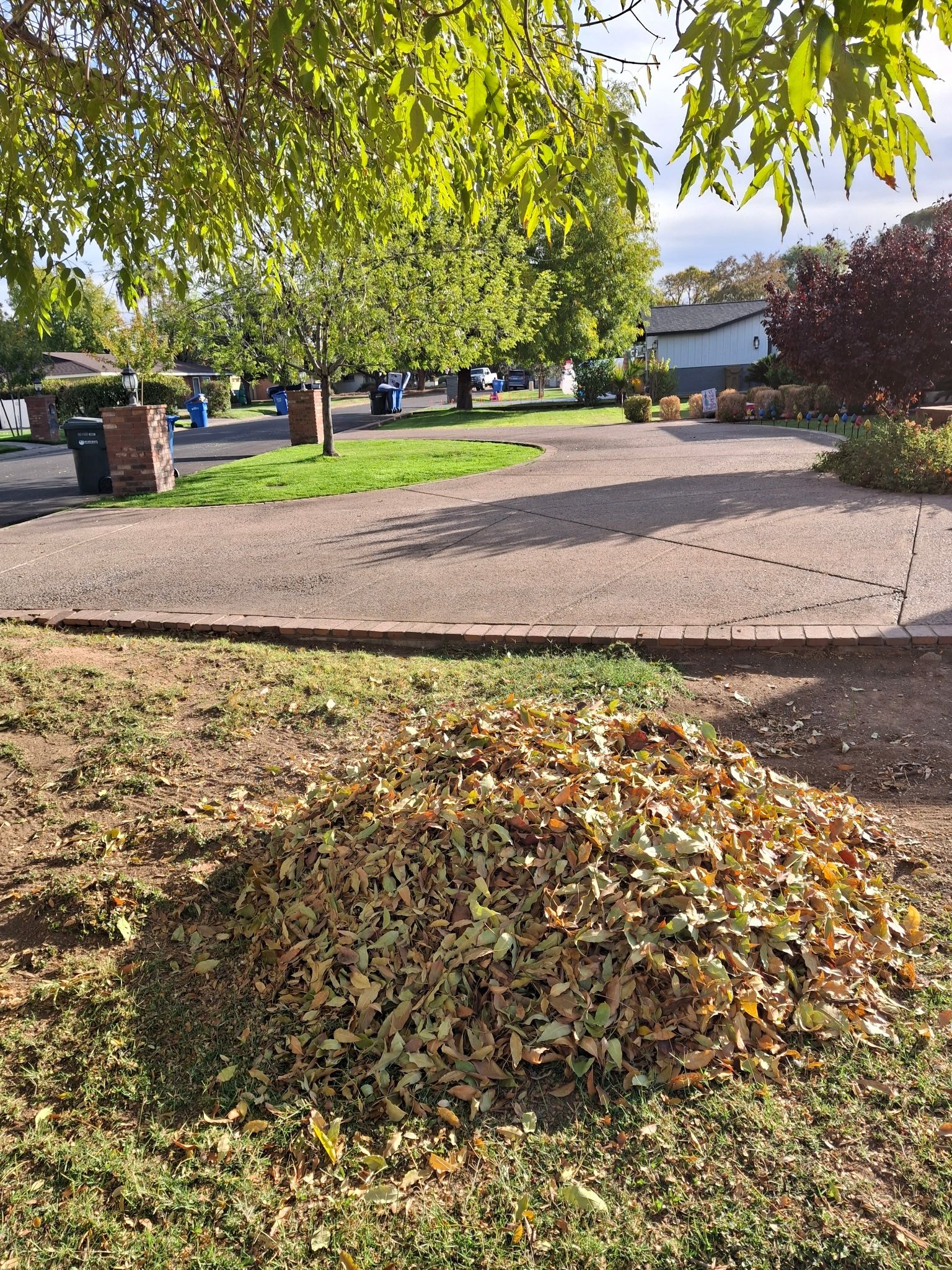  for Family Landscaping in Phoenix, AZ